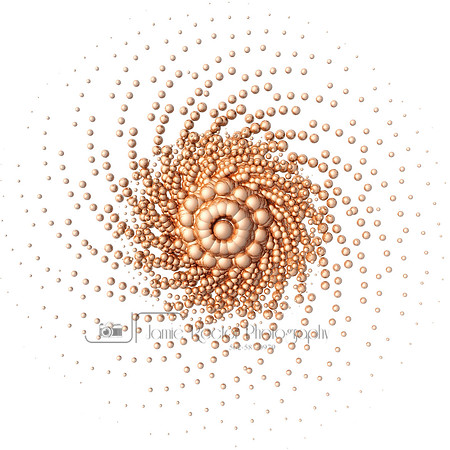 Visualization of a fractal Structure