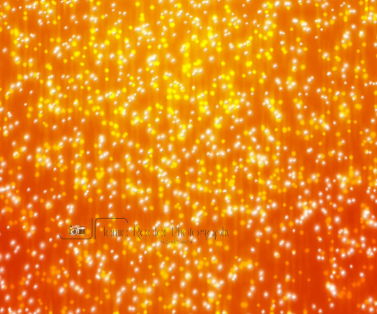 Golden Snowy Background Texture