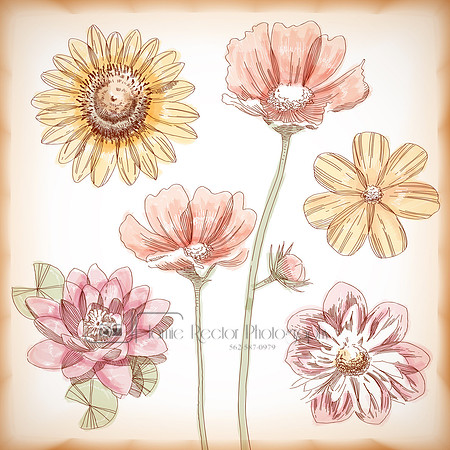 handdrawn-flower_1b-021114-ykwv2